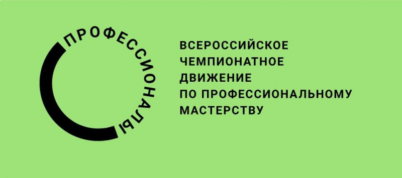 Профессионалы